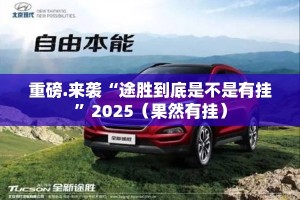 重磅.来袭“途胜到底是不是有挂”2025（果然有挂）