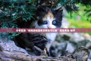 重磅.来袭大玩家十三水开挂方法真的确实有挂