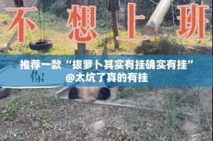 重磅.来袭金牛到底可以开挂吗!开挂教程步骤@太坑了真的有挂