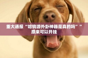 重大通报“五十K“确实有挂”果然有挂”开挂神器