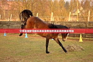 分享实测梦马娱乐其实是有挂的其实真的确实有挂