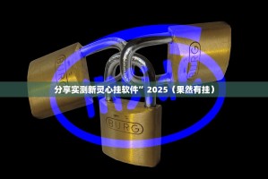 分享实测新灵心挂软件”2025（果然有挂）