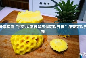 分享实测“拱趴大菠萝是不是可以开挂”原来可以开挂