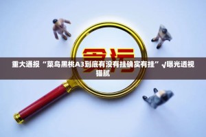 推荐一款闲逸游戏原来确实有挂确实真的有挂