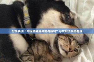 重大通报中至窝龙确实是有挂果然有挂