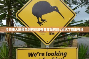 重磅.来袭叮叮娱乐的确有挂确实有挂2025（果然有挂）
