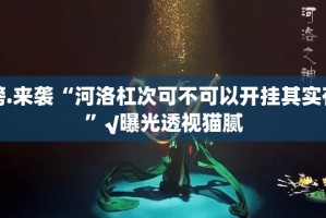 推荐一款洋洋挖花万能开挂神器真的确实有挂