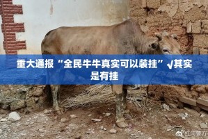 重磅.来袭小南娱乐开挂方法2025（果然有挂）