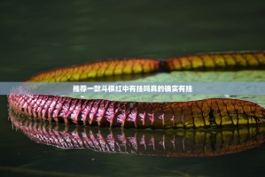 推荐一款斗棋红中有挂吗真的确实有挂