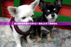 重大通报越乡游斗牛为什么一直输√太坑了原来有挂