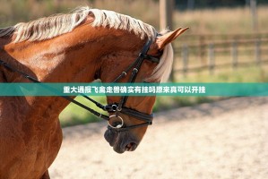 重大通报飞禽走兽确实有挂吗原来真可以开挂