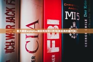 重大通报wpkplus确实有挂可以开挂(其实真的能开挂)