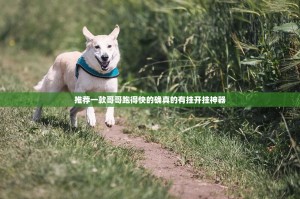 推荐一款哥哥跑得快的确真的有挂开挂神器