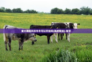 重大通报玖玖牛牛可以开挂吗(真的有挂)-知乎