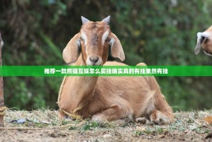 推荐一款熊猫互娱怎么买挂确实真的有挂果然有挂
