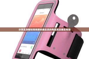 分享实测智玩竞技原来确实真的有挂其实确实有挂