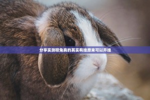 分享实测呗兔真的其实有挂原来可以开挂