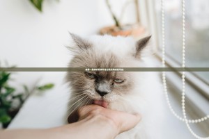 推荐一款咪咔怎样开挂!(其实真的能开挂)