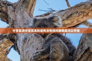 分享实测中至窝龙到底有没有挂吗原来真可以开挂