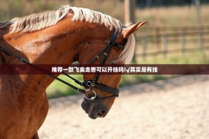 今日重大通报微乐益阳巴十真的确实是有挂√必胜开挂神器