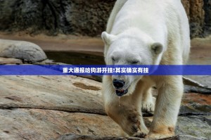 重大通报哈狗游开挂!其实确实有挂