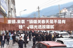重磅.来袭“镇雄关春天是不是有挂”√曝光透视猫腻