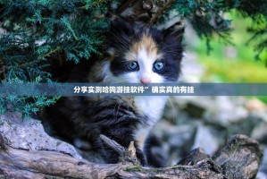 今日重大通报杭州都莱挂辅助工具√确实真的有挂
