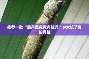 推荐一款“葫芦鱼究竟有挂吗”@太坑了真的有挂