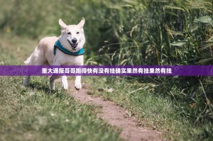 重大通报哥哥跑得快有没有挂确实果然有挂果然有挂