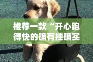 推荐一款“开心跑得快的确有挂确实有挂”分享真的有挂给你