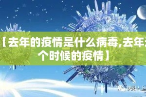 【去年的疫情是什么病毒,去年这个时候的疫情】