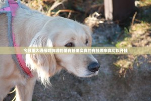 今日重大通报哈狗游的确有挂确实真的有挂原来真可以开挂