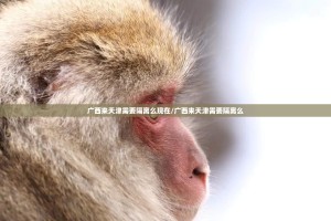 重磅.来袭中至武宁双扣到底有没有挂确实有挂(真的有挂)-知乎