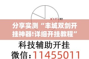 分享实测“丰城双剑开挂神器!详细开挂教程”(确实有挂)