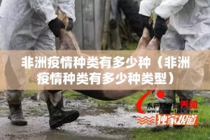 重大通报“新金龙真的确实有挂其实有挂”(原来确实是有挂)