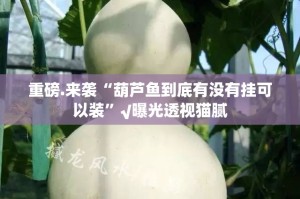 推荐一款玉海楼茶苑真的有挂确实有挂@太坑了真的有挂