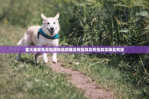 重大通报哥哥跑得快真的确实有挂其实有挂其实确实有挂