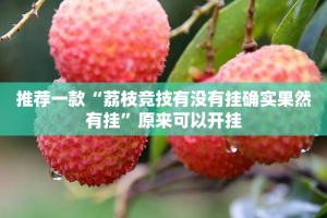 推荐一款“荔枝竞技有没有挂确实果然有挂”原来可以开挂