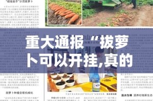 分享实测中至赣牌圈包王果然有挂(确实有挂)