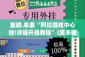 重磅.来袭“阿拉游戏中心挂!详细开挂教程”(原来确实是有挂)