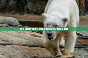 重大通报哈狗游究竟有没有透视挂√其实是有挂