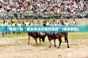 推荐一款“越乡游斗牛能开挂吗”(确实有挂)