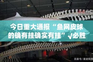 今日重大通报“鱼网皮球的确有挂确实有挂”√必胜开挂神器