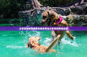 分享实测哈狗游原来确实有挂分享真的有挂给你