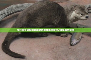 今日重大通报哈狗游果然有挂确实有挂√确实真的有挂