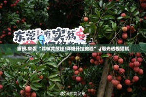 今日重大通报鲨鱼扑克确实有透视挂(其实真的能开挂)