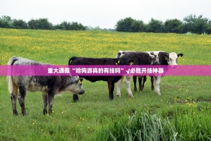 今日重大通报微乐广西麻将为什么一直输其实真的确实有挂