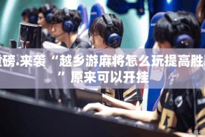 重磅.来袭“越乡游麻将怎么玩提高胜率”原来可以开挂