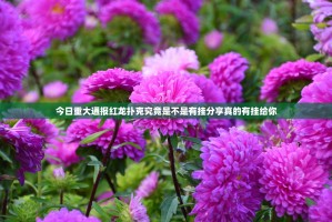 今日重大通报红龙扑克究竟是不是有挂分享真的有挂给你