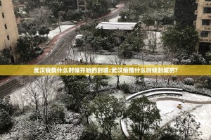 武汉疫情什么时候开始的封城:武汉疫情什么时候封城的?